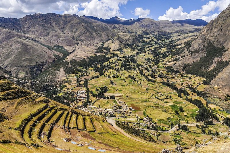 Peru Jungle Trips