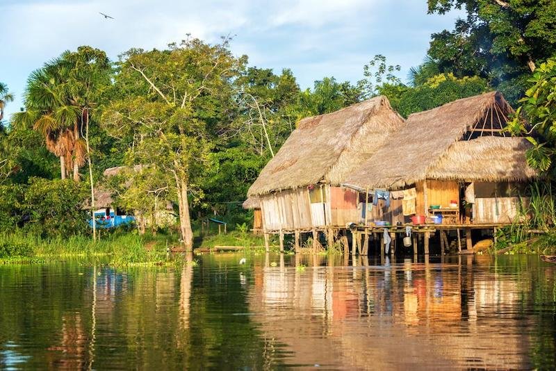 Iquitos Jungle Tours - Iquitos Rainforest