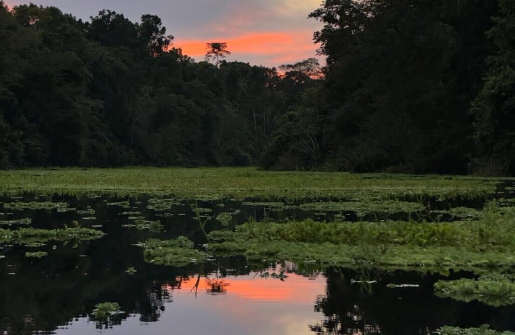 A day finishes in the Iquitos's rainforest.