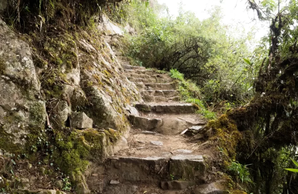 huayna_picchu_path