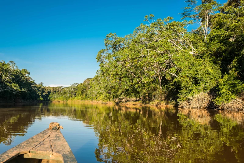 Where are the Jungles in Peru?