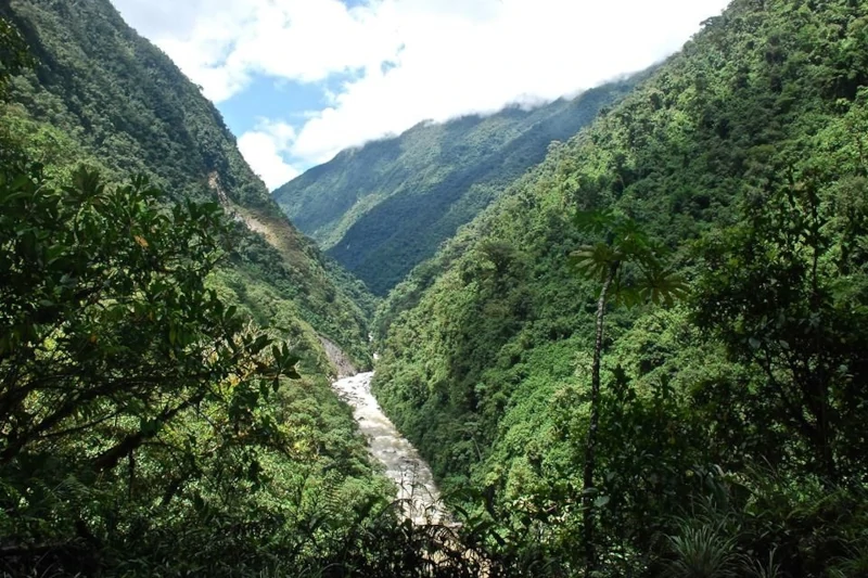 Where are the Jungles in Peru?