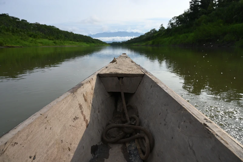 What To Expect from Manu National Park Tours?