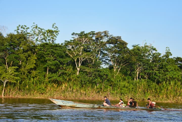 Manu National Park