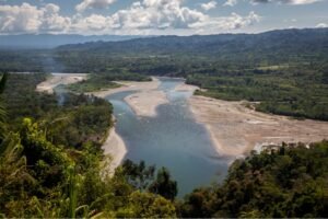 Manu National Park