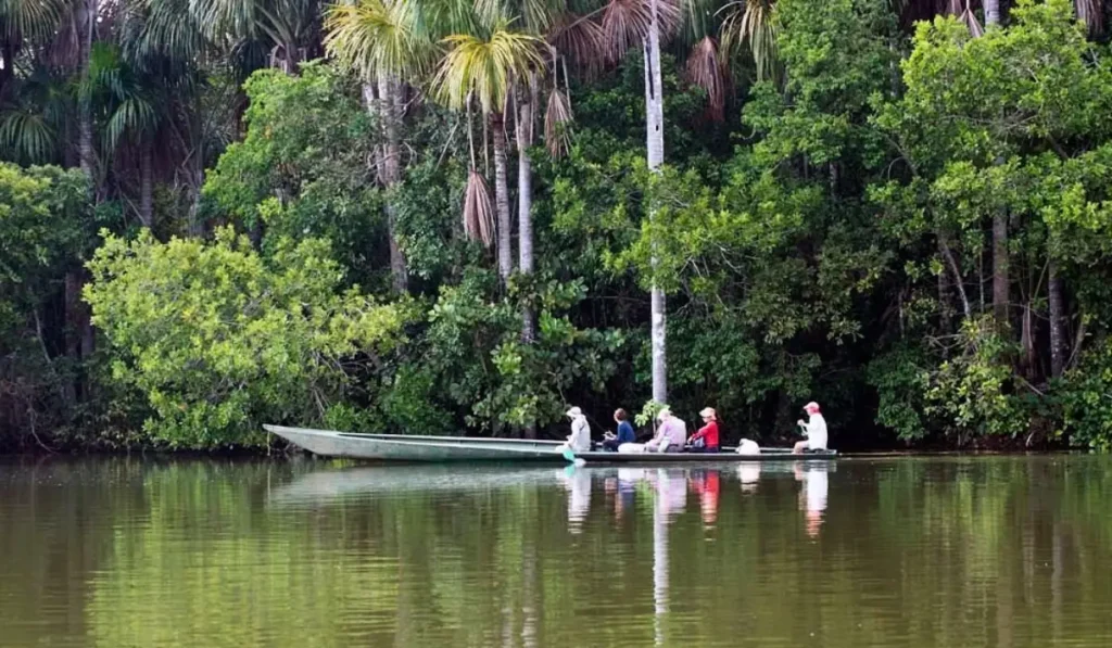 Excursion Tambopata Collpa de Guacamayos – 3 Jours